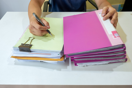 professional writer service