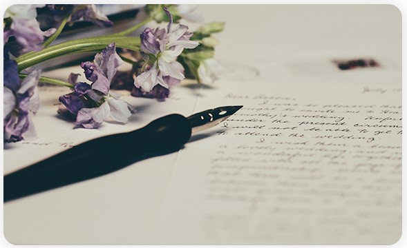 professional writer service